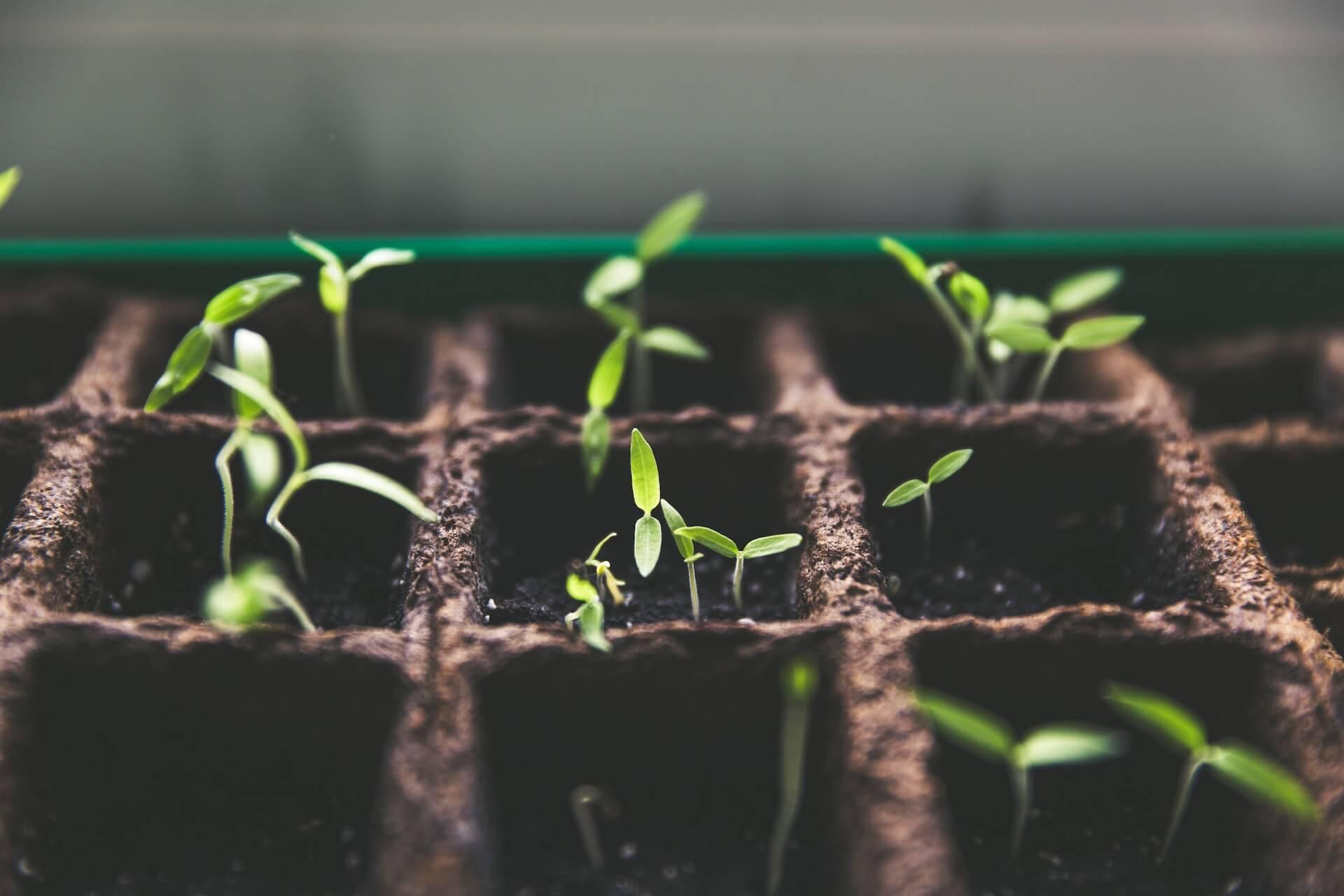 Sustainability