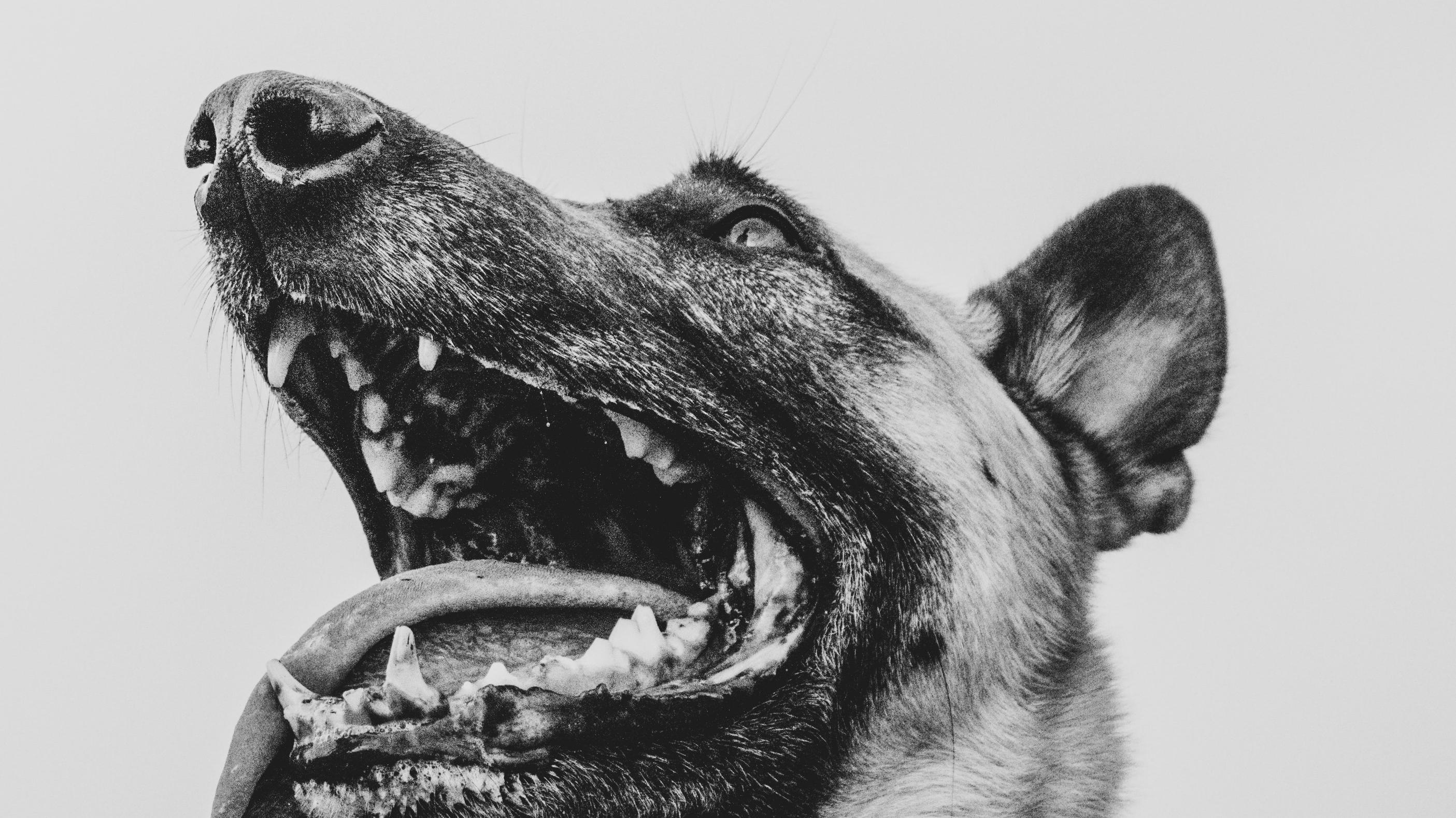 jorgen-hendriksen-NLYlix4HQAI-unsplash
