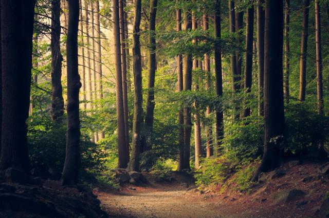 nature nature